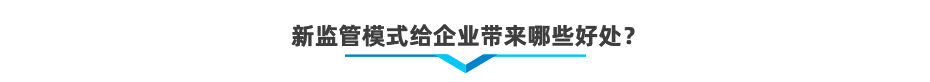 以企業(yè)為單元新監(jiān)管電子賬冊軟件系統(tǒng)
